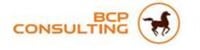 BCP Consulting