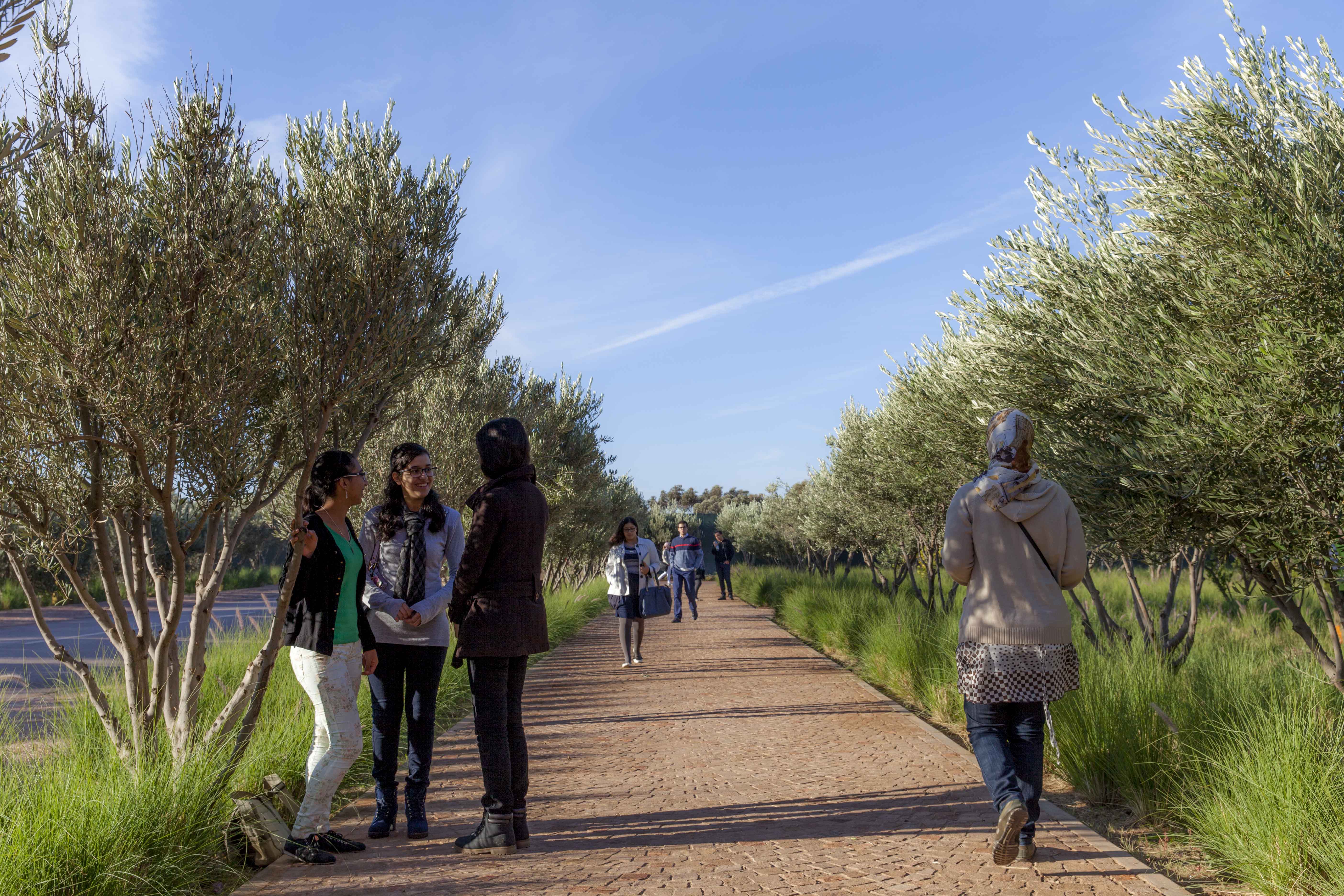 UM6P_Campus_Ben-Guerir_Students_Life_15